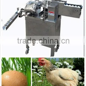 ZENYER 3000pcs/h Stainless Hen Egg Breaking Machine/egg Breaker(008613823737025) thumbnail-1