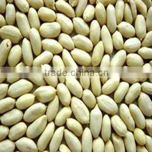 Blanched Peanut Kernels Long Type thumbnail-1
