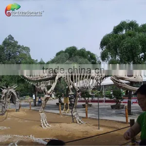 High Quality Dinosaur Fossil and Dinosaur Skeleton For Museum /Life Size Dinosaur Skeleton thumbnail-3