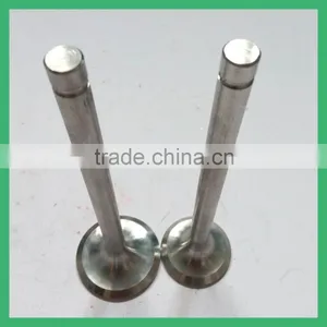 N180 Diesel Engine Valve ,engine Valves thumbnail-1
