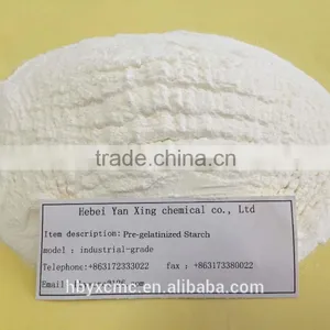 Great Sales White Powder Pre-gelatinized Starch thumbnail-1