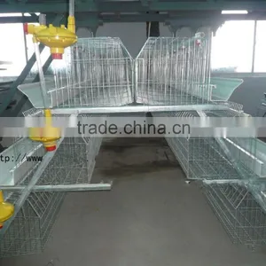 Automatic Chicken Layer Cage for Salling!!! thumbnail-2