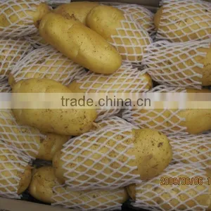 Fresh Sweet Potato 10kg Ctn thumbnail-2