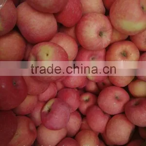 Fresh China New Crop of Fuji Apples/cold Room Goods thumbnail-2