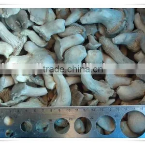 Health Product/nourishment Food /china Food Mushroom thumbnail-2
