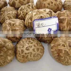 Dried Flower Mushroom Brown thumbnail-2
