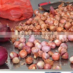 Stainless Steel Automatic Garlic Potato Peanut Pepper Grinding Machine thumbnail-5