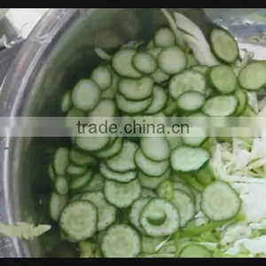 Professional Stainless Steel Multi-functional Leek Cucumber Potato Slicing Cutting Cutter Machine thumbnail-6