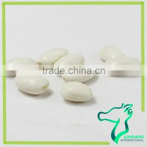 Nutritional Value Of White Kidney Beans Medium Size Square Shape White Kidney Beans thumbnail-6