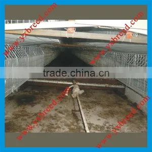 Automatic Manure Removal thumbnail-1