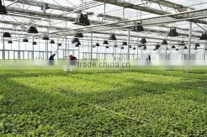 Low Cost Pad and Fan Cooling System Greenhouse Accessories thumbnail-4