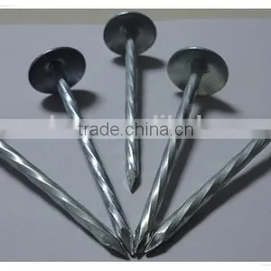Large Head Roofing Nail China Nail Factory Price From China thumbnail-2