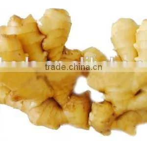 Ginger Multiple Layer Continuous Type Mesh Belt Dryer thumbnail-6