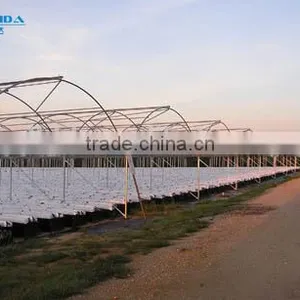 Factory Price High Quality Commercial/agricultural Used Film Covering Greenhouse for Sale thumbnail-1
