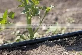 32mm Hdpe Pipe in Roll Price /hdpe Pipe Factory thumbnail-3
