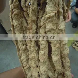 Nutrition Protein Screw Food Extrusion Production Line in Chenyang Machinery thumbnail-1