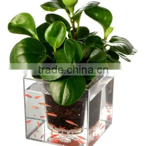 Crystal Cube Self-wating Clear Flower Pot Fish Tank thumbnail-1
