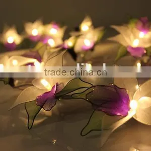 Warm White Operated LED String Lights thumbnail-1