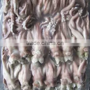 Best Quality New Season Squid Tentacles Good Taste thumbnail-1
