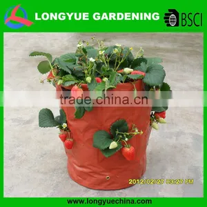 Cheap Environmental Handled Plastic Plant Grower Bags thumbnail-1