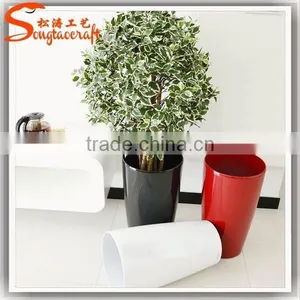 Large Outdoor Bonsai Trees Banyan Wholesale Bonsai Trees Ficus Microcarpa Bonsai Trees thumbnail-4