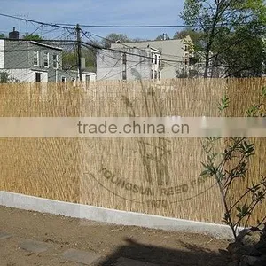 Reed Fence Screen for Gardening thumbnail-6