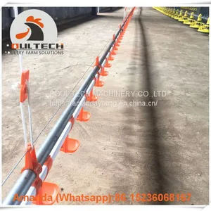 Salvador Poultry Farming Equipment Broiler Floor Raising System & Chicken Deep Litter System With Automatic Drinking& Feeding System in Chicken Coop thumbnail-2
