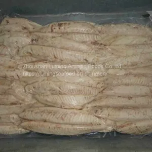Frozen Pecooked Skipjack Tuna Loin Katsuwonus Pelamis thumbnail-4