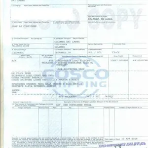 Detailed Description of re Export Trade Anti-dumping thumbnail-4