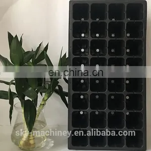 Plastic Tree Seed Tray thumbnail-1