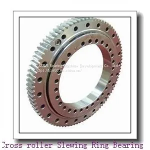 Jib Crane Bearing MTO-050 Slewing Ring thumbnail-1