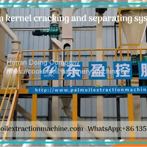 Complete Set 2-10tph Palm Nut Processing Cracking and Separating Machinery thumbnail-3