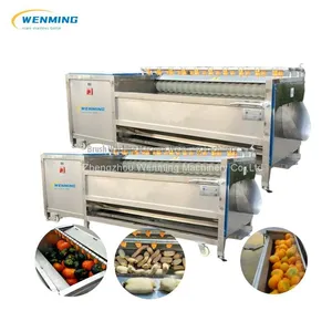 Potato / Carrot / Pumpkin / Lotus Root Brush Washing & Peeling Machine thumbnail-1