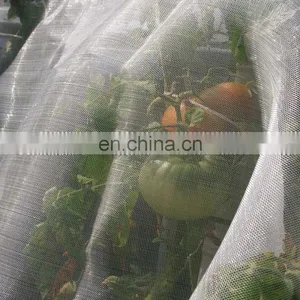 HDPE 40x25mesh Anti Insect Net for Agricultural Greenhouse thumbnail-1