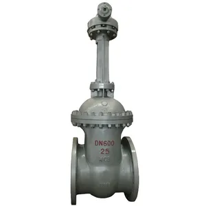 GOST Standard WCB Cast Carbon Steel 20# Rising Stem Electric Gate Valve Flange Pn25 Pn40 Pn64 Elastic Seat Gate Valve thumbnail-1
