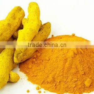 GMP Certified Turmeric Powder Manufacturer thumbnail-1