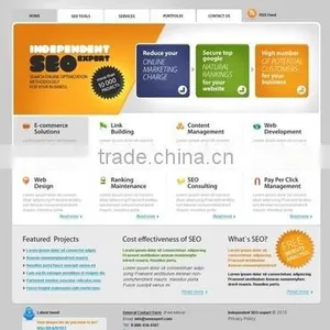 SEO Services and SMO Services thumbnail-5