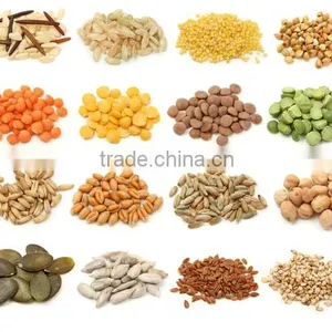 New Condition Multi Oil Press Machine Pressing Oil More Than 30kinds of Seed YZYX10-4 Oil Machine 3tons/day thumbnail-4