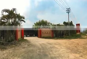 Chaozhou Xiesheng Ceramics Factory company overview - view 1 thumbnail