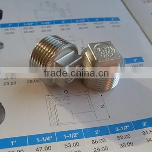 Type Ss316 Stainless Steel Square Plug Pipe Fitting thumbnail-1