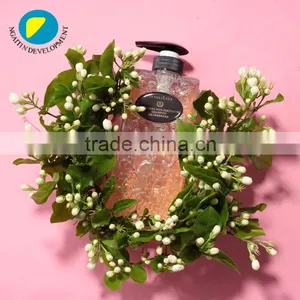 2 In 1 Private Label Clean Oily Hair Herbal Shampoo thumbnail-1