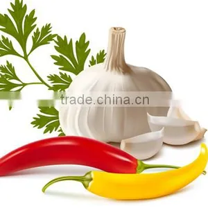 Garlic Oil FCC thumbnail-4