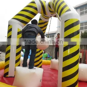 Outdoor Wonderful Inflatable Wrecking Ball for Sale thumbnail-6