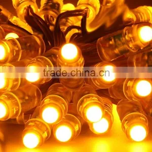 Outdoor RGB Smart Light DC5V 12mm Full Color DMX Led Pixel Light For Sign Letters thumbnail-4