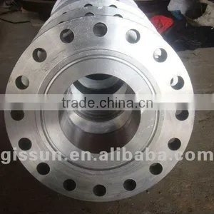Stainless Steel Standard Different Kinds of Forged Flange thumbnail-1