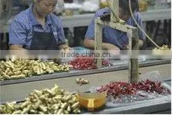 Yuhuan Vara Copper Products Co., Ltd. company overview - view 3 thumbnail