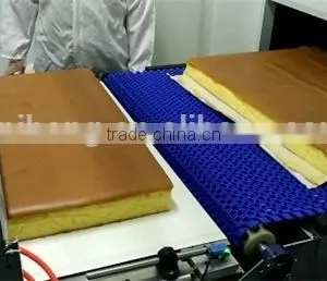 Thermal Radiant Type Wide Hearth Tunnel Oven for Nagasaki Cake thumbnail-3