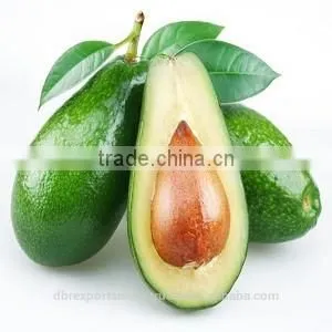 Avacado Oil thumbnail-1