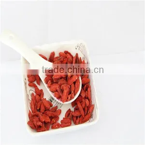 Organic Goji Berries thumbnail-4