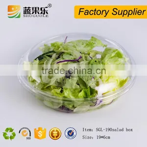 Disposable Plastic Fresh Salad Packing Container With Clear Hinged Lid thumbnail-3